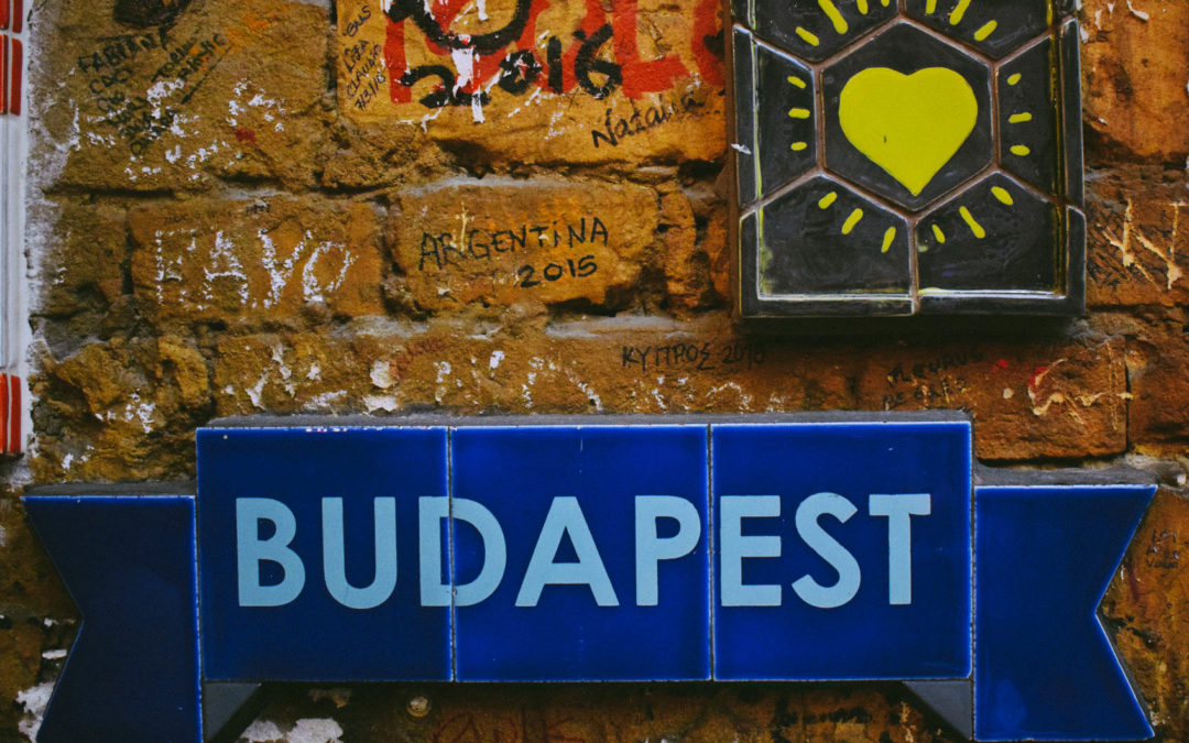Vedere din Budapesta